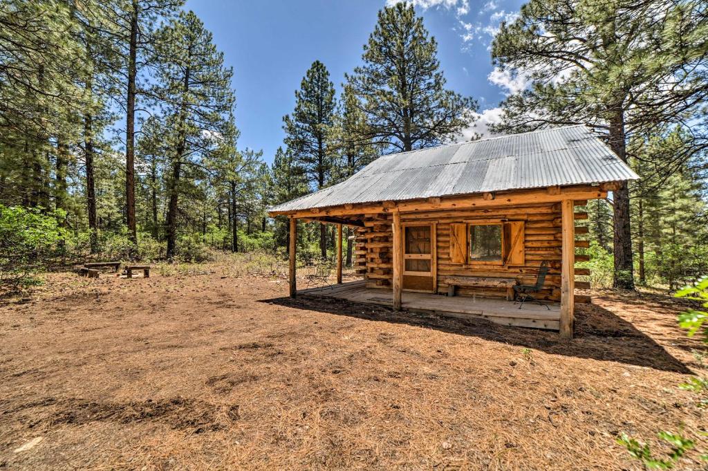 Cozy Cabin on 1,000 Acres by San Juan Natl Forest